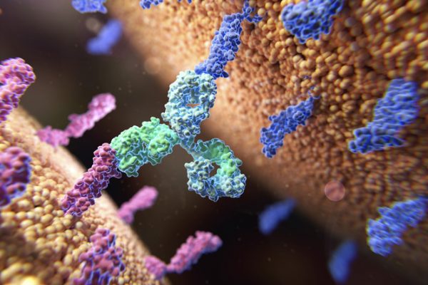 BMS Buys Into BioNTech Bispecific Antibody, Putting Up $1.5B to Collaborate in Multiple Cancers