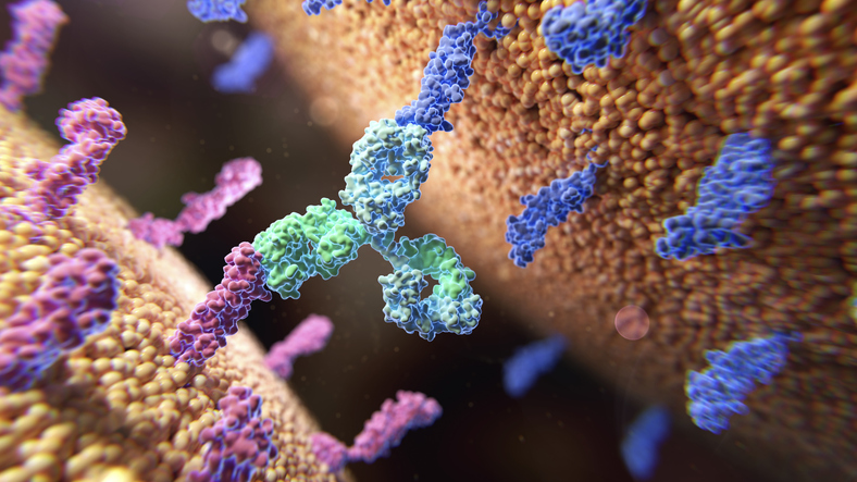 BMS Buys Into BioNTech Bispecific Antibody, Putting Up $1.5B to Collaborate in Multiple Cancers