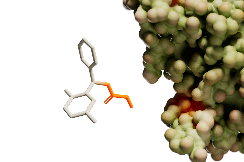 Startup Expedition Medicines Launches to Learn Nature’s Rules for Binding Elusive Proteins