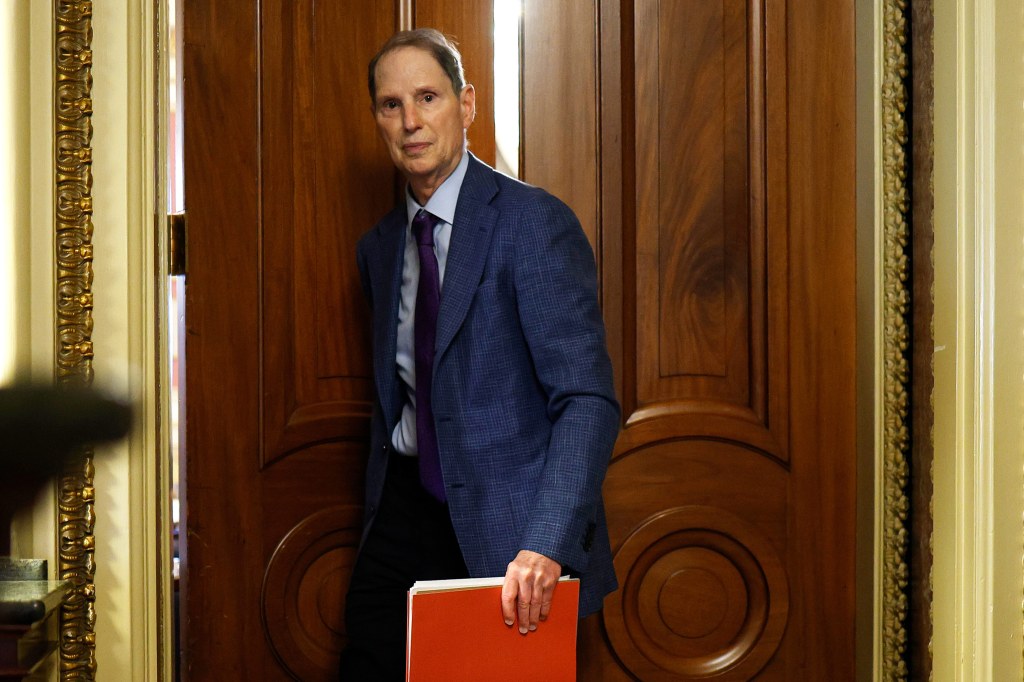Senators Press Deloitte, Other Contractors on Errors in Medicaid Eligibility Systems