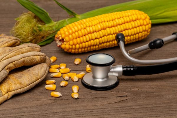 Rural Health Transformation Program: What States and Counties Need to Know to Optimize New Funding